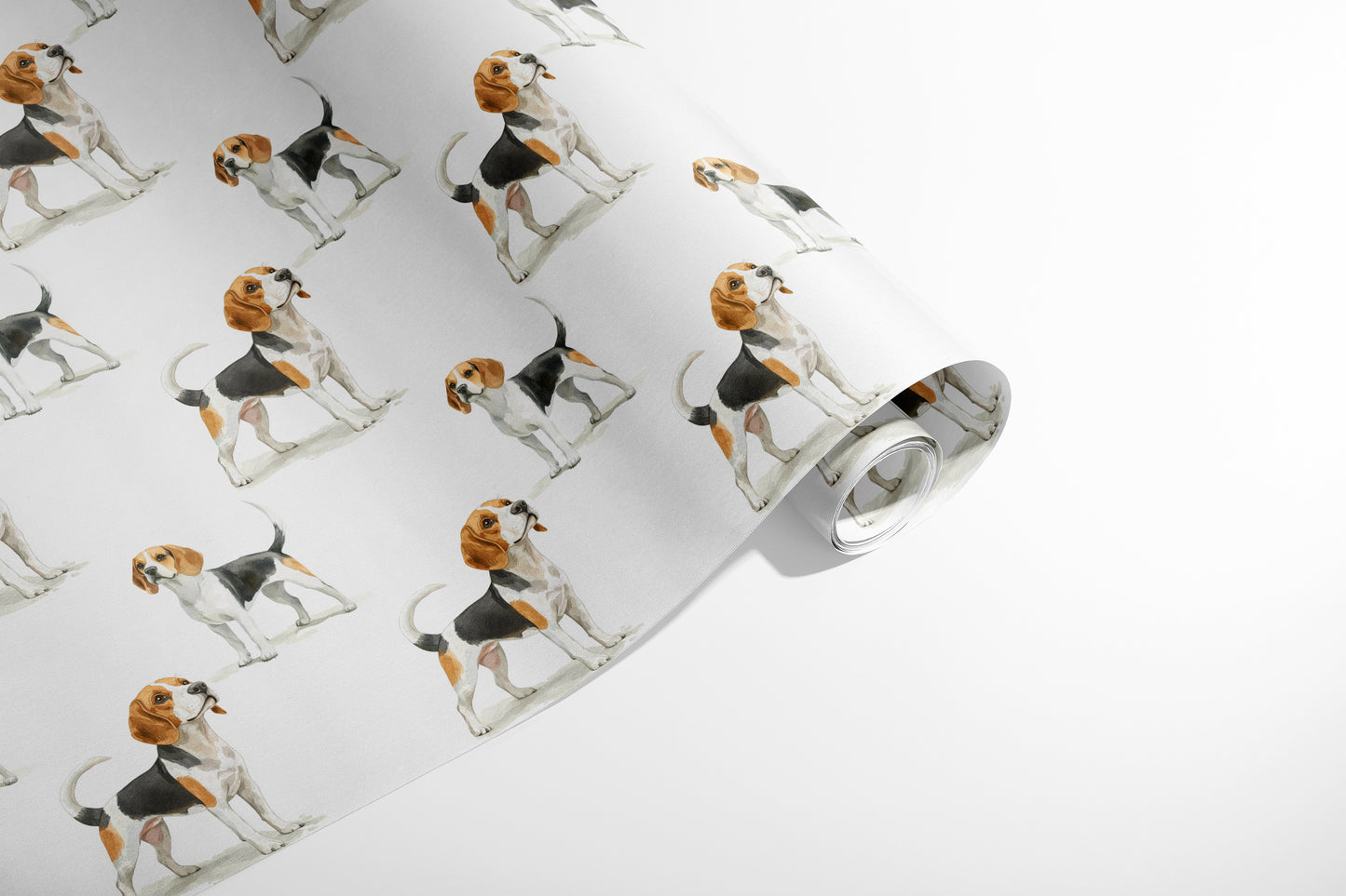 Beagle