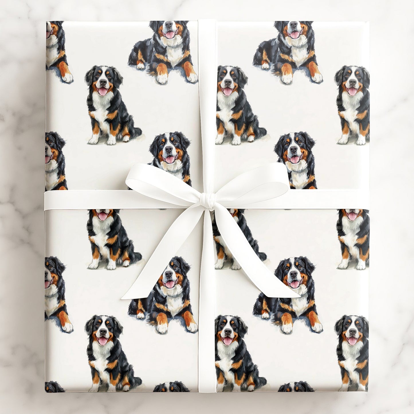 Bernese Mountain Dog