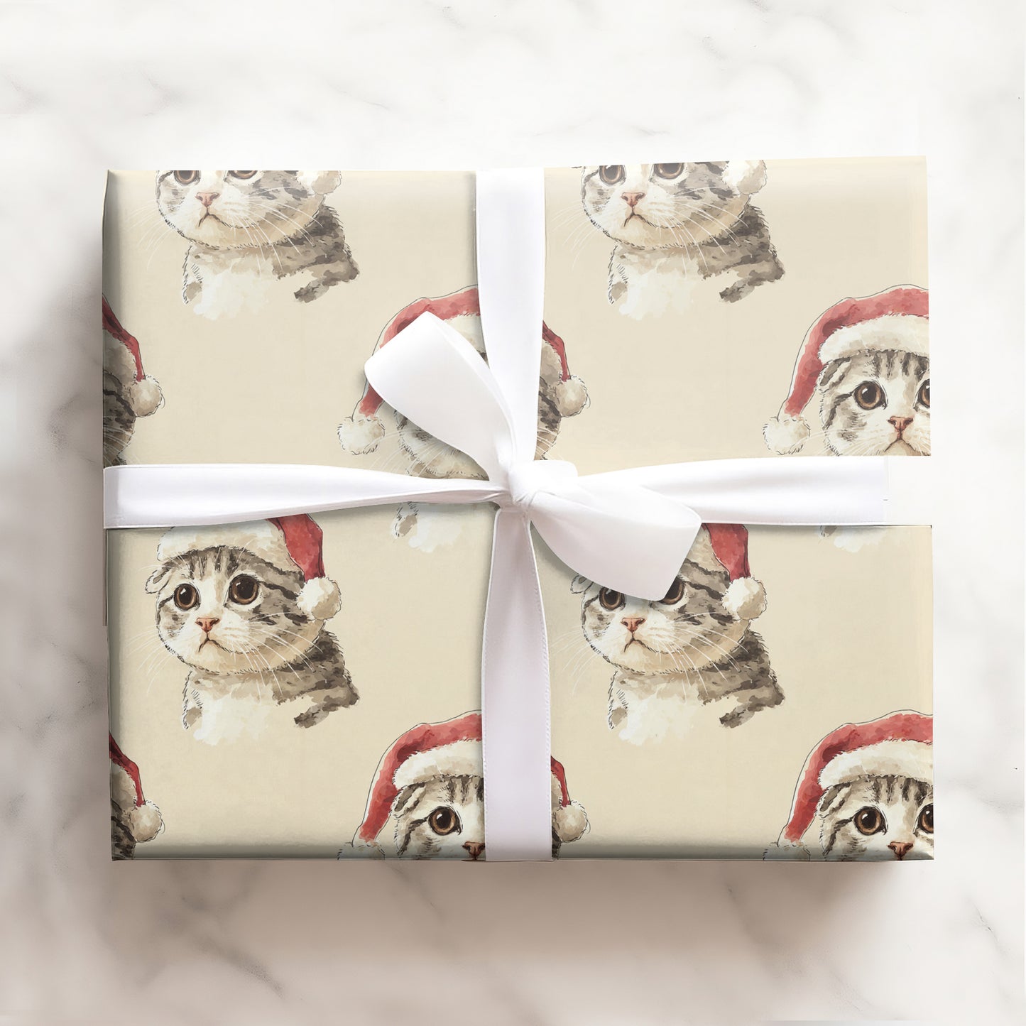 Cat with Red Scarf