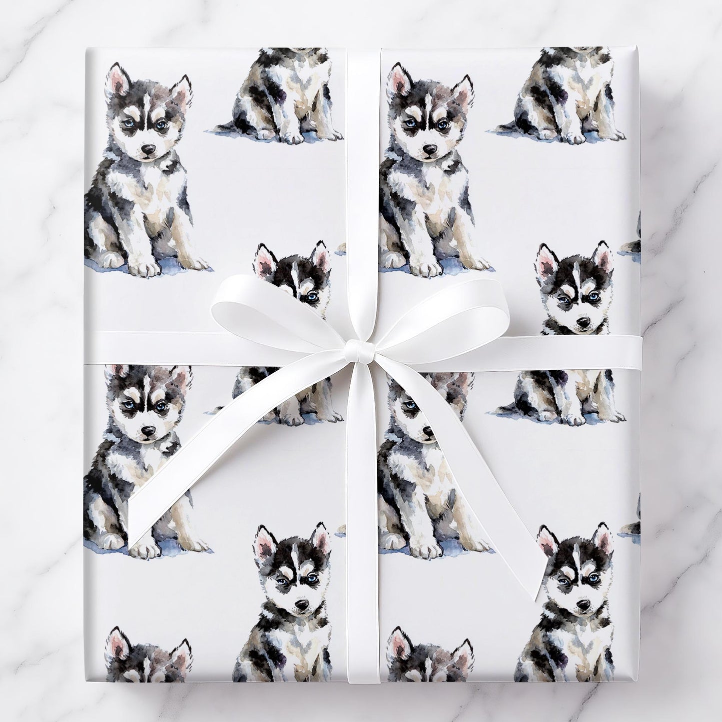 Chillin’ with My Huskies