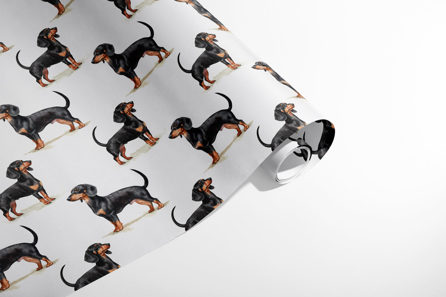Dachshund