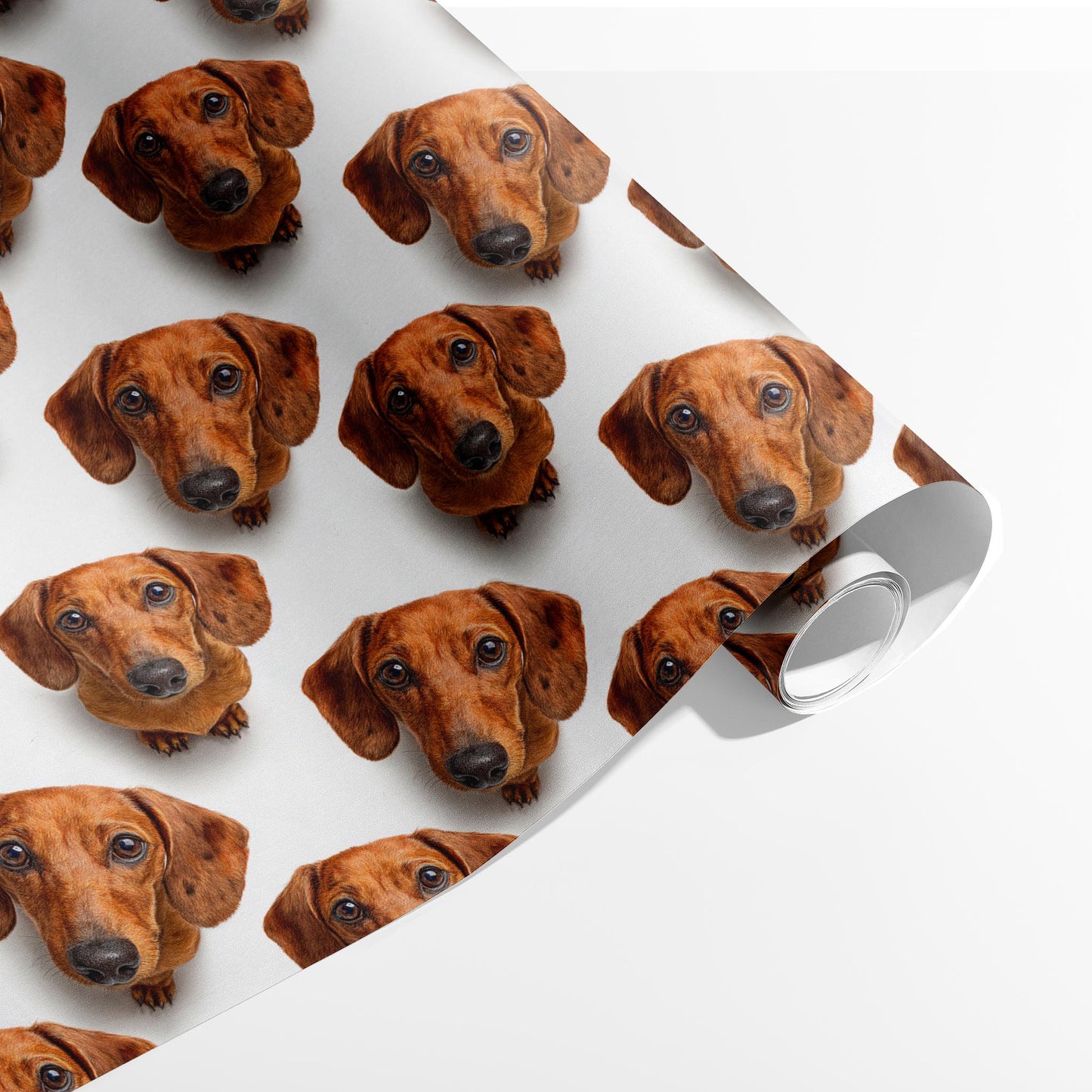 Heads Up, Pups A-head!