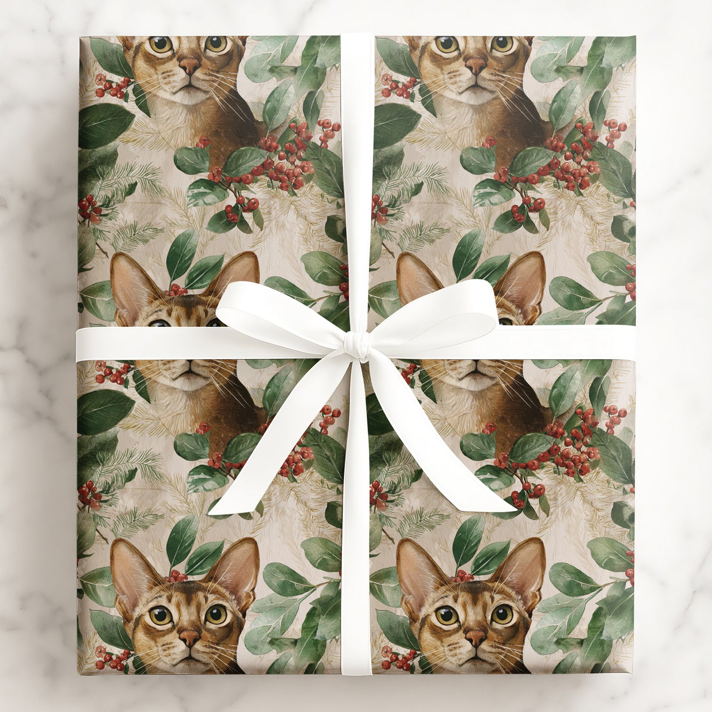 Holly Cat
