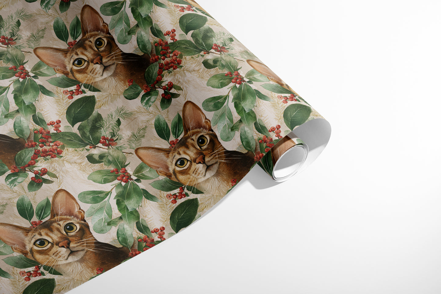 Holly Cat