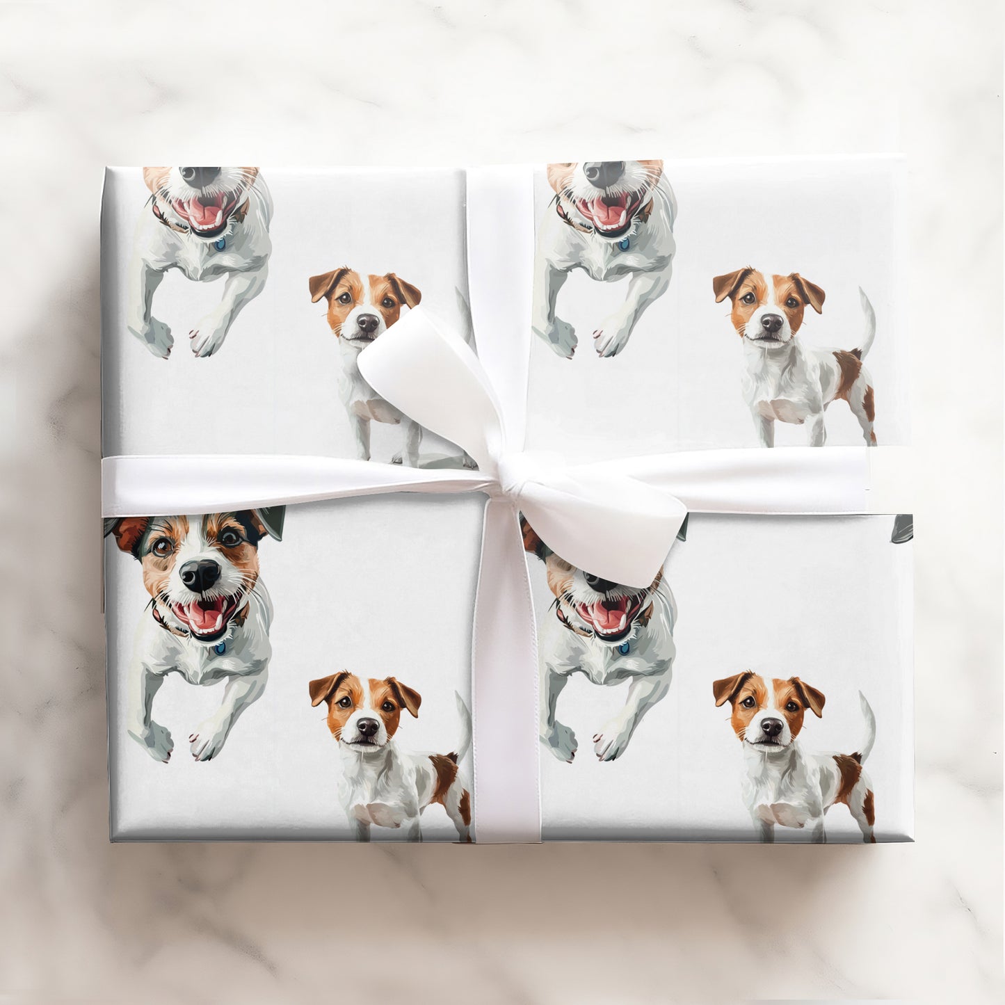 Jack Russel