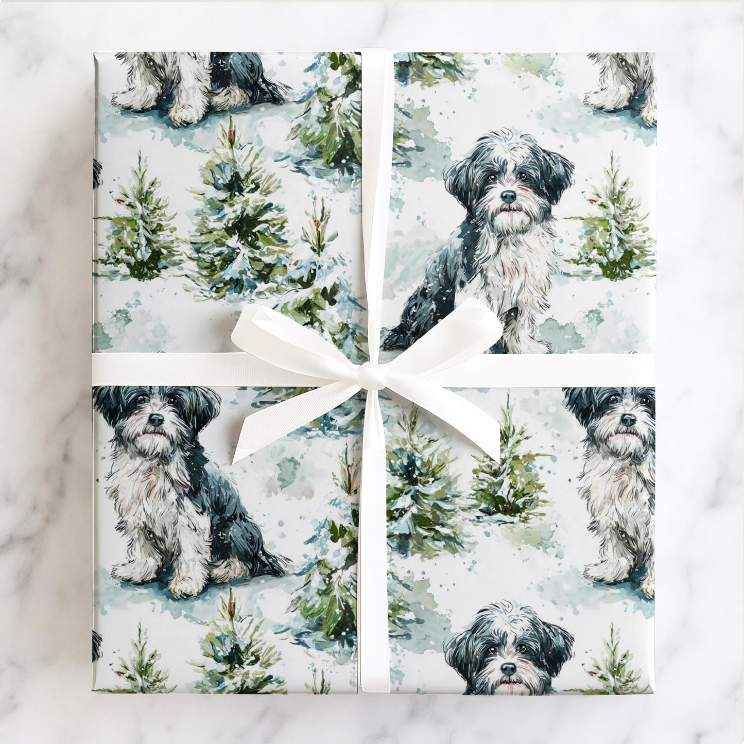 Jolly Little Havanese