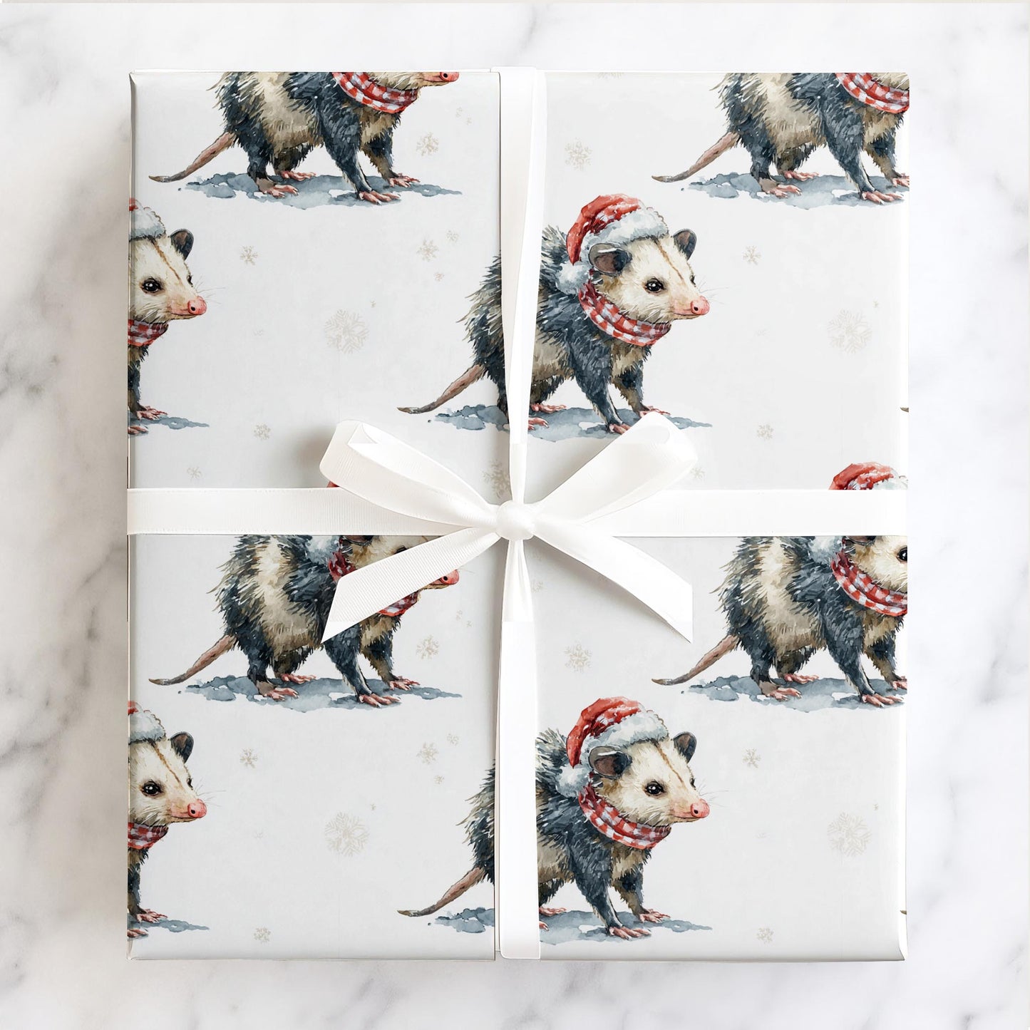 Jolly Little Possum