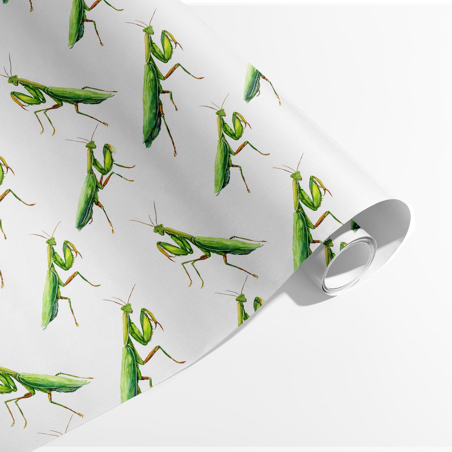 Mantis in Motion