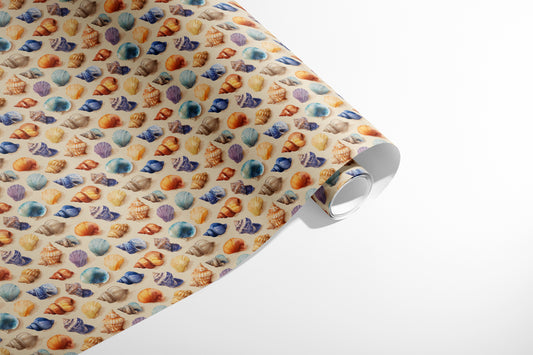 Ocean Shells