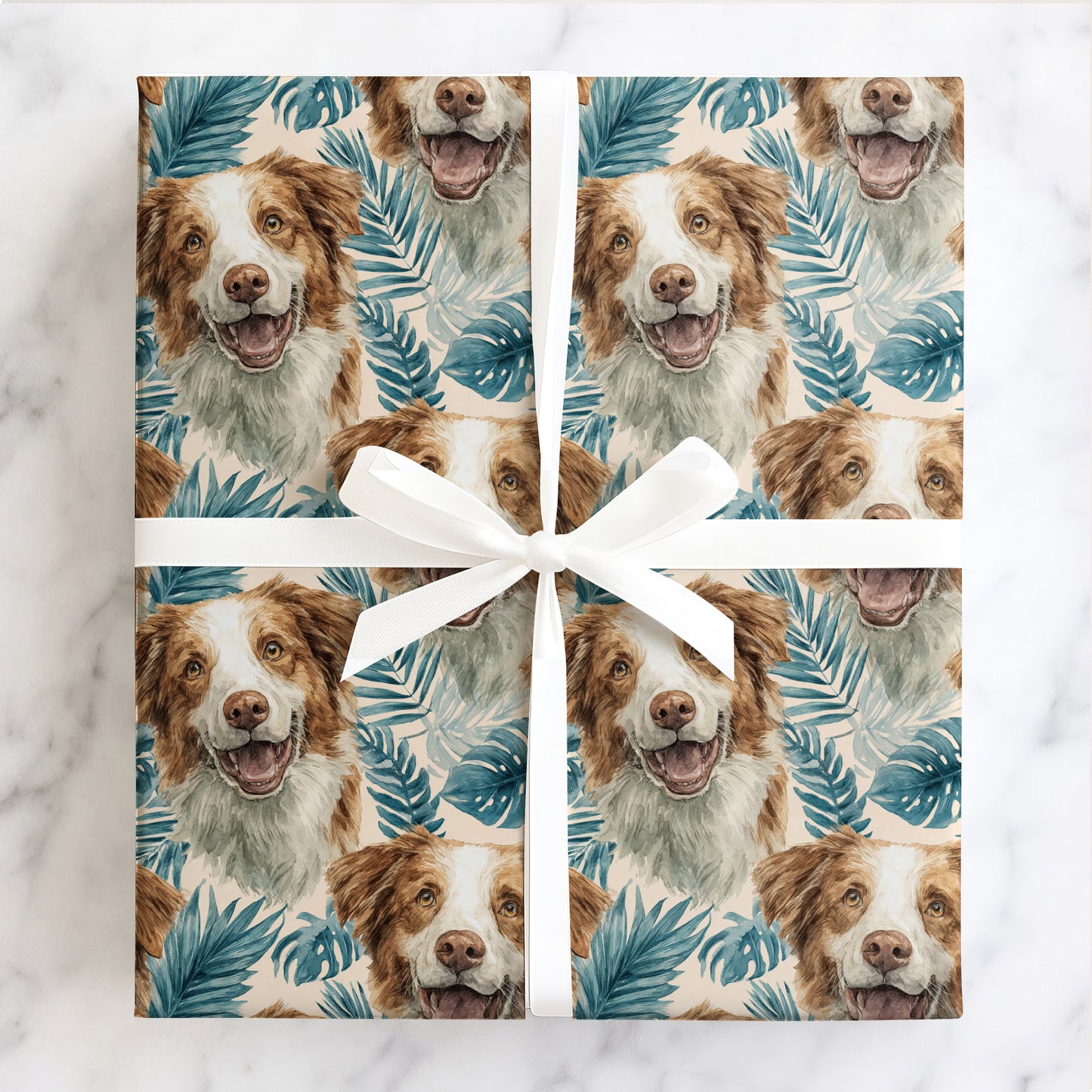 Palm Beach Collie