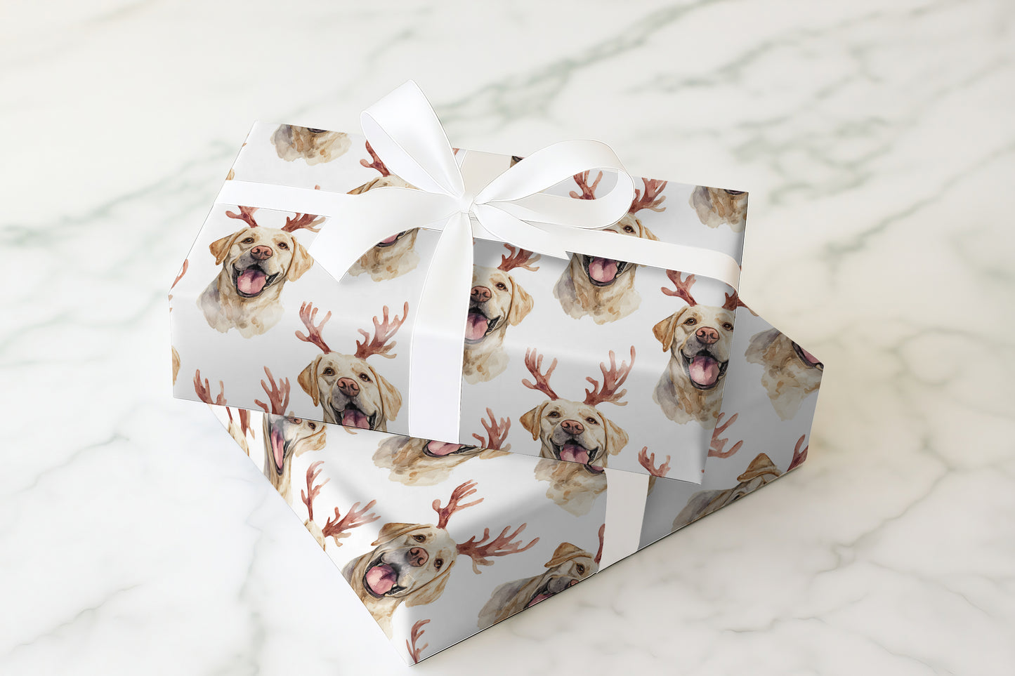 Santa's Labrador