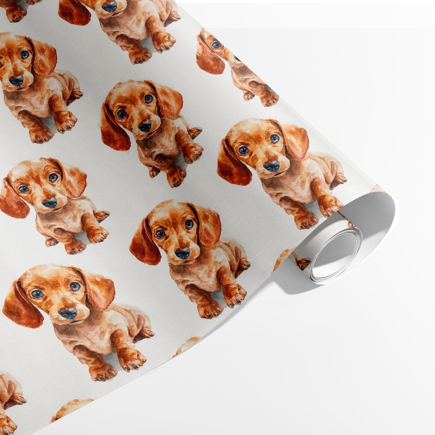 Sausage Dog Stare