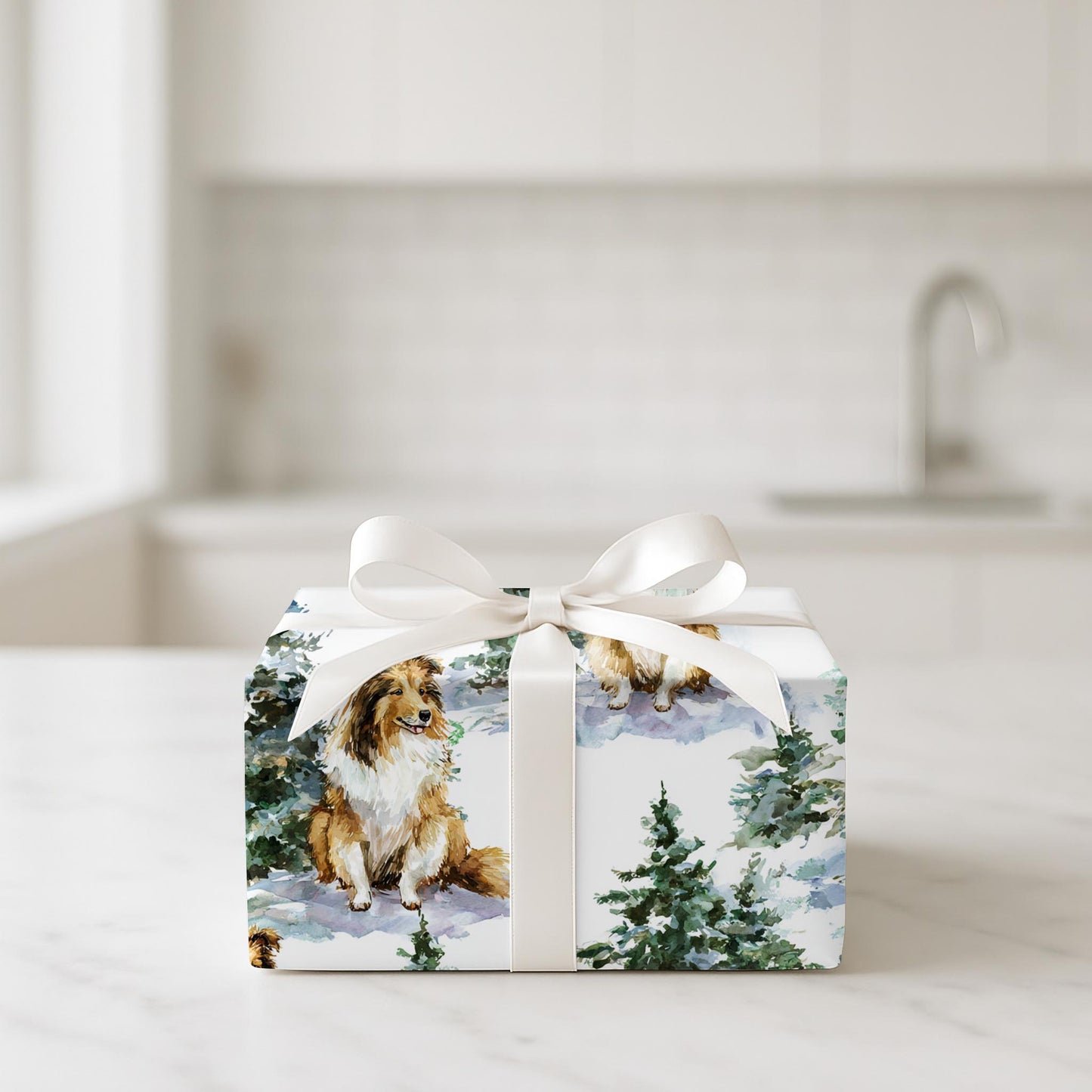 Shetland Sheepdog