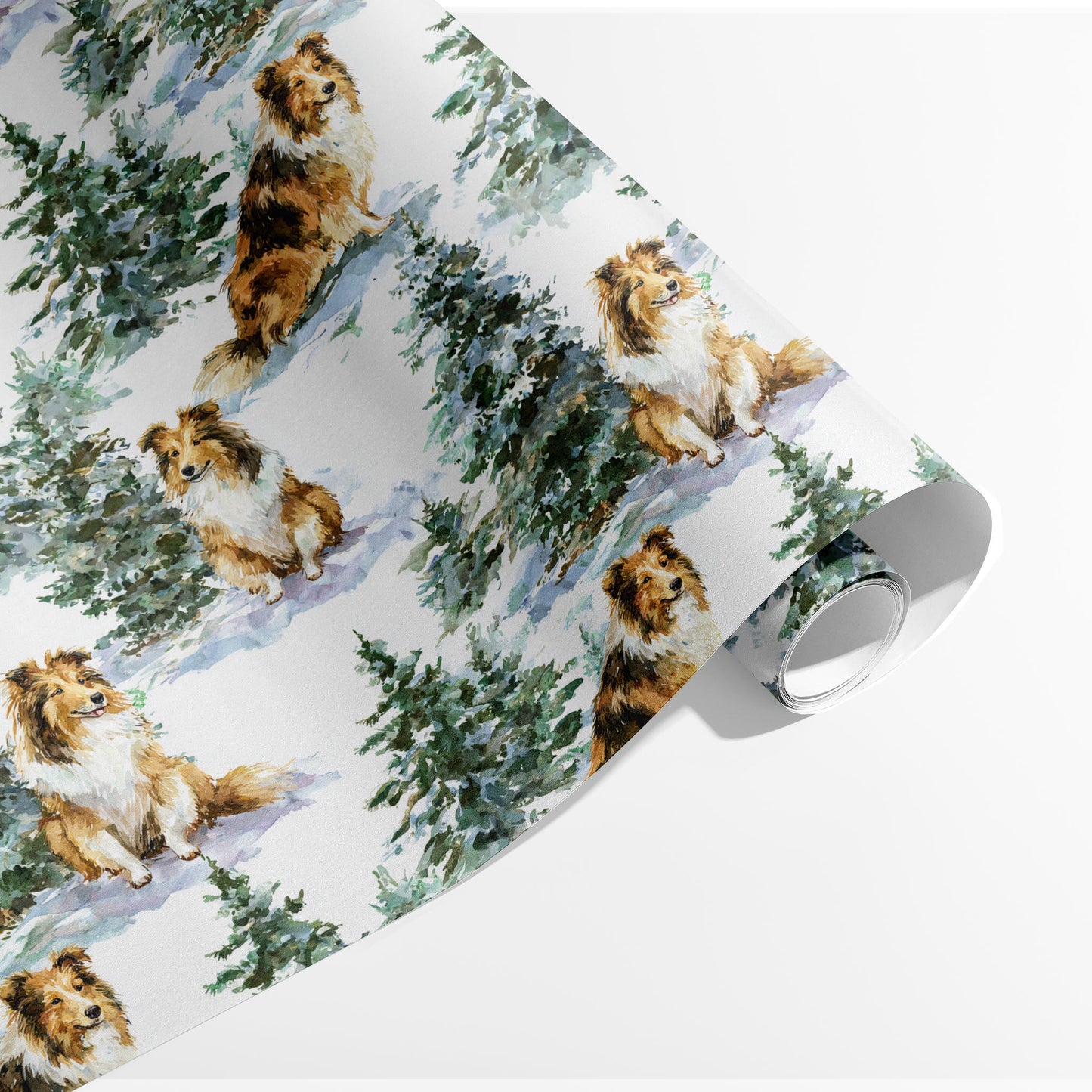 Shetland Sheepdog