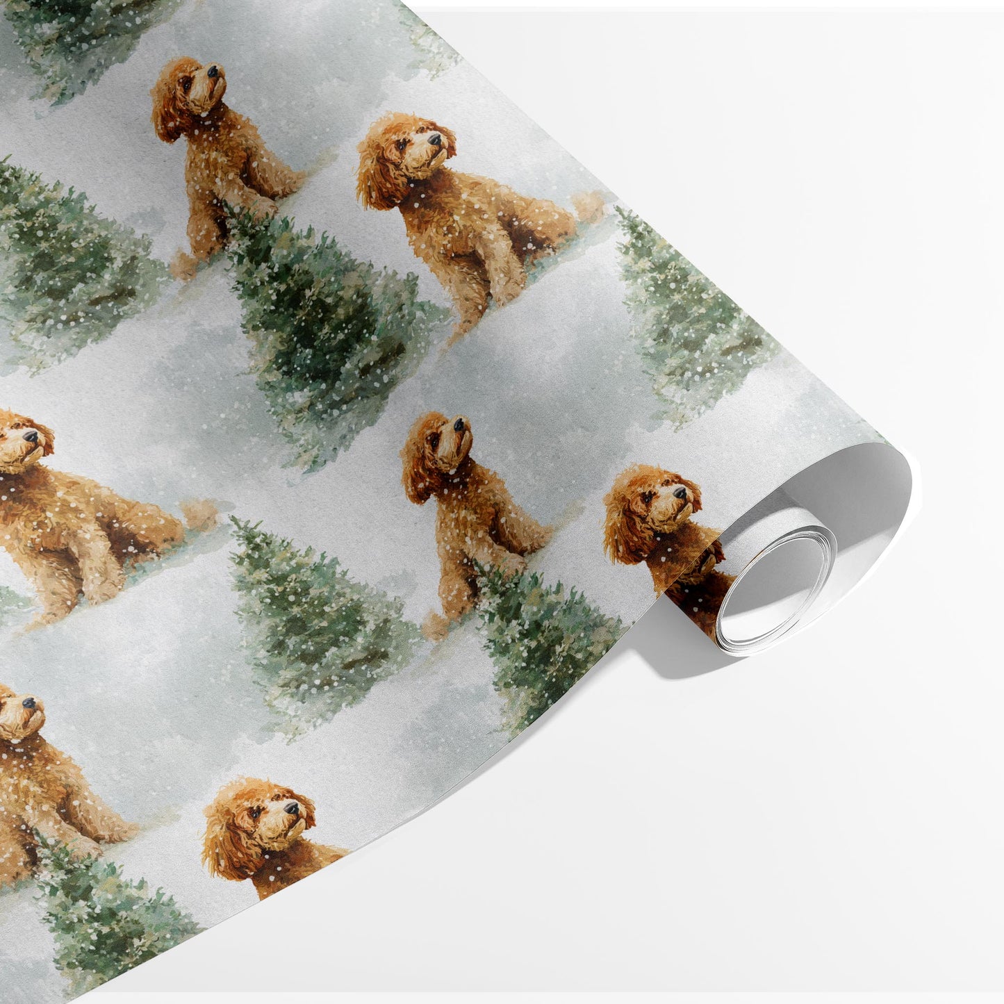Snowy Labradoodle