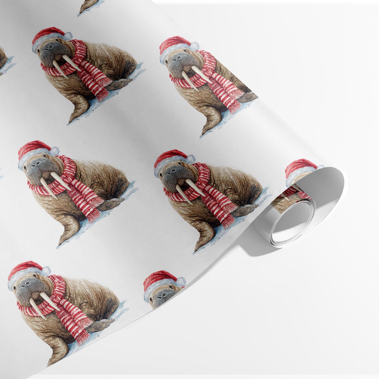 Walrus Wonderland