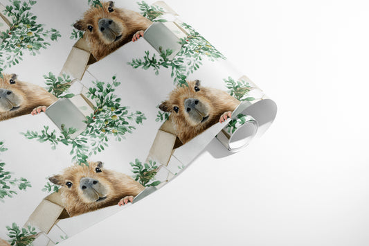 Warm Wishes from Capy