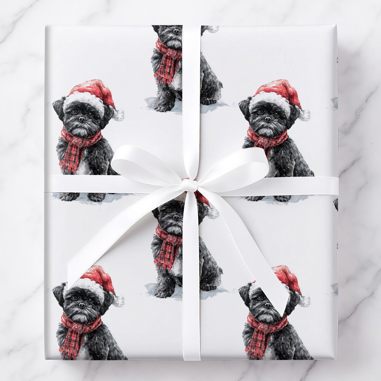 Jolly Shih Tzu