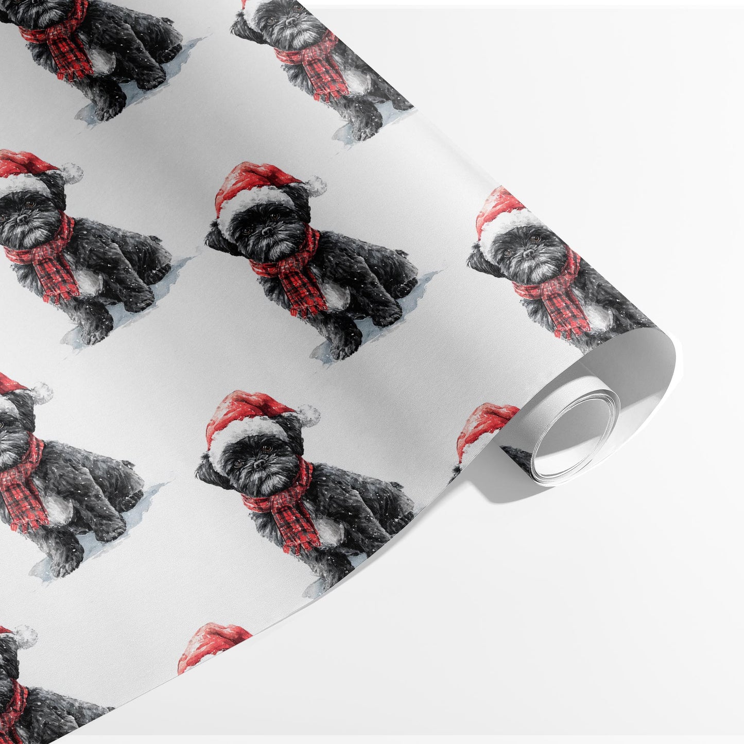 Jolly Shih Tzu