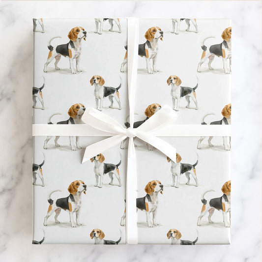 Beagle