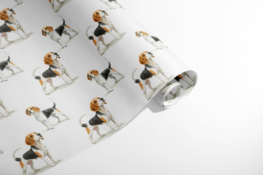 Beagle