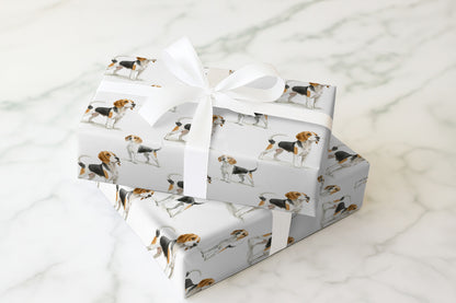 Beagle