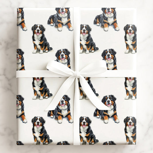 Bernese Mountain Dog