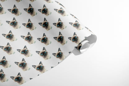 Blue-Eyed Purrs