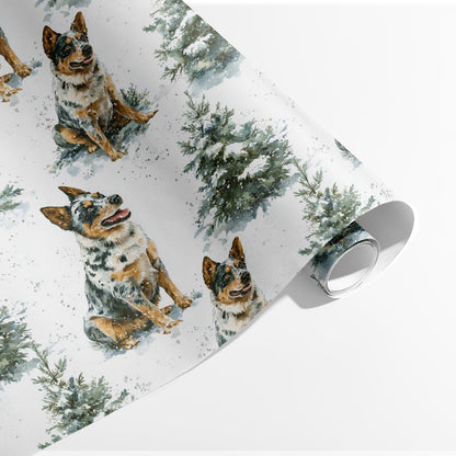 Blue Heeler Bells