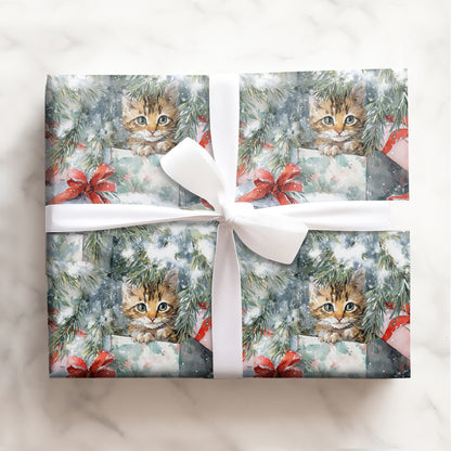 Boxed & Bowed Meows