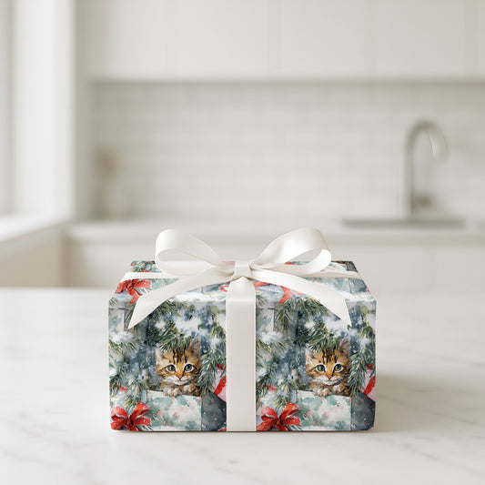 Boxed & Bowed Meows