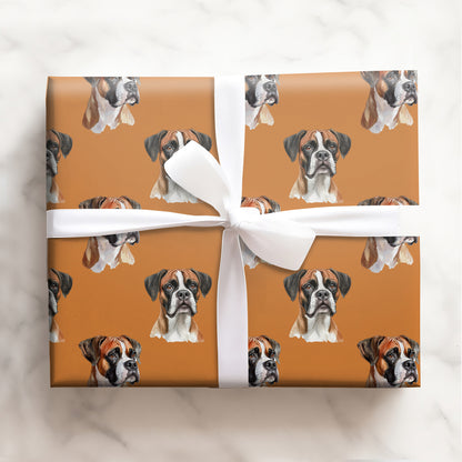 Boxer Dog