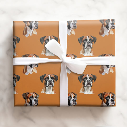 Boxer Dog