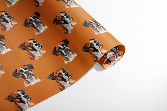Boxer Dog