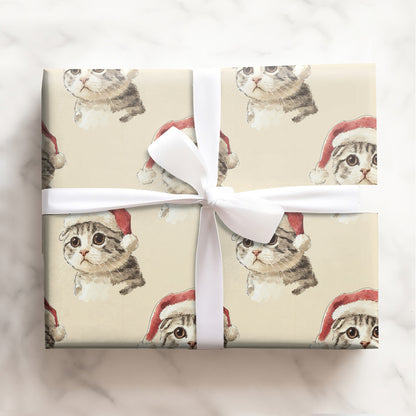 Cat with Red Scarf