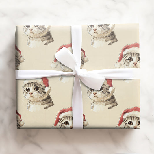 Cat with Red Scarf