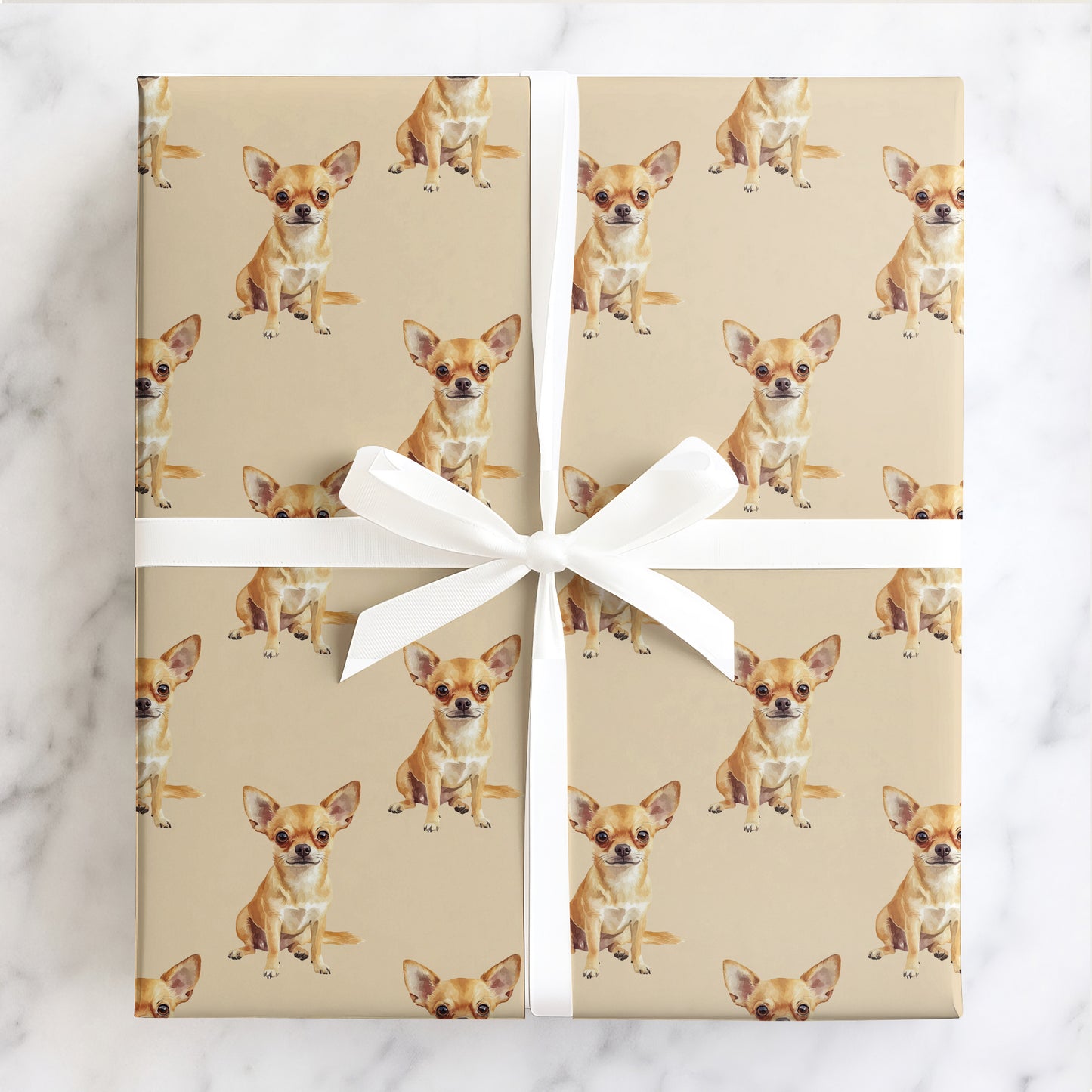 Chihuahua