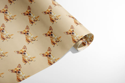 Chihuahua