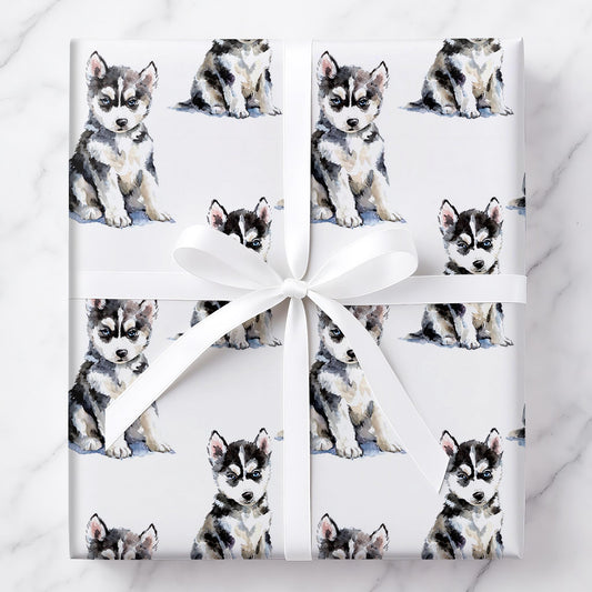 Chillin’ with My Huskies