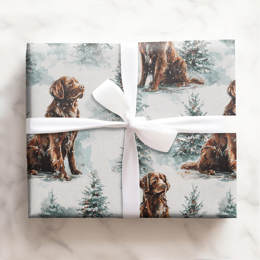 Chocolate Labradors