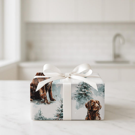 Chocolate Labradors