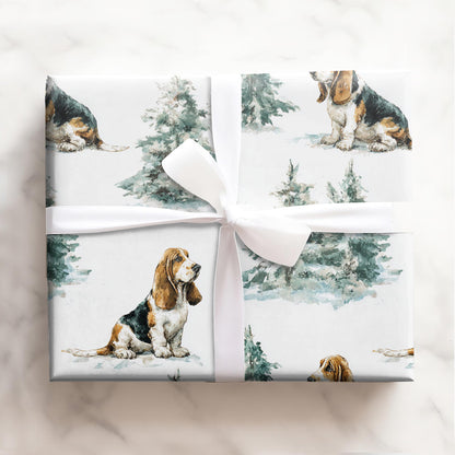 Cozy Basset Hound