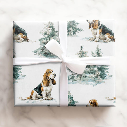 Cozy Basset Hound