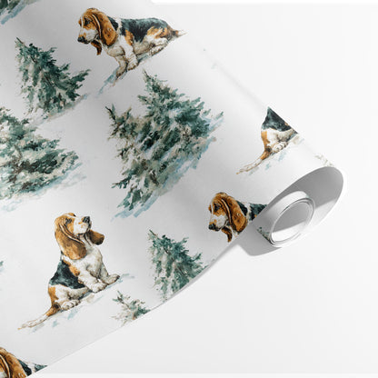 Cozy Basset Hound