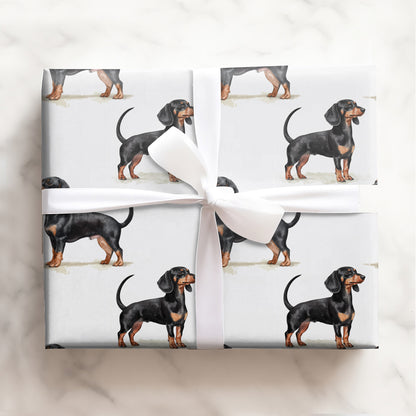Dachshund