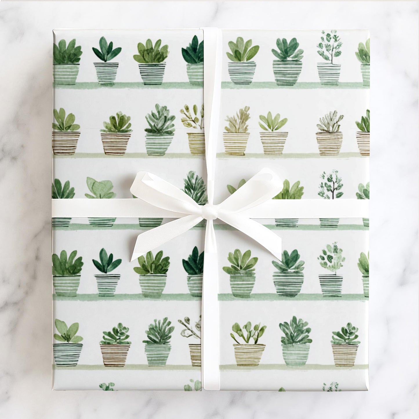 Folk Blooms Green in Pots