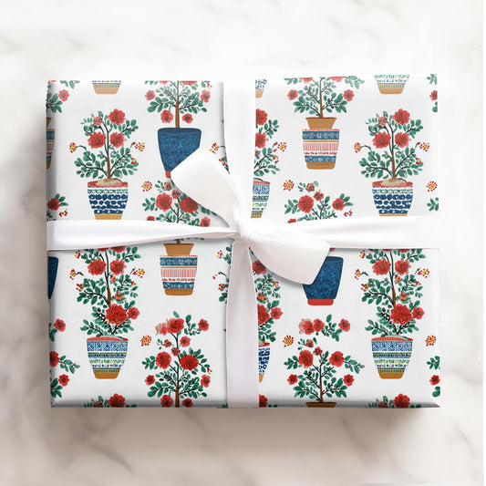 Folk Blooms in Pots