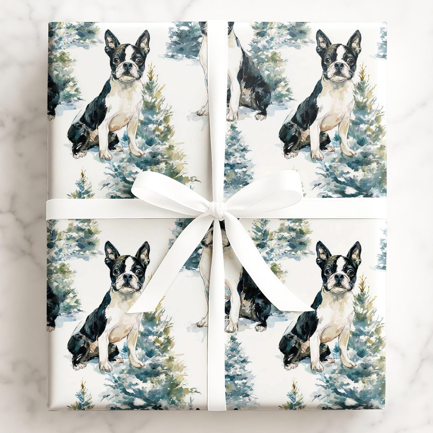 Frosty Boston Terrier