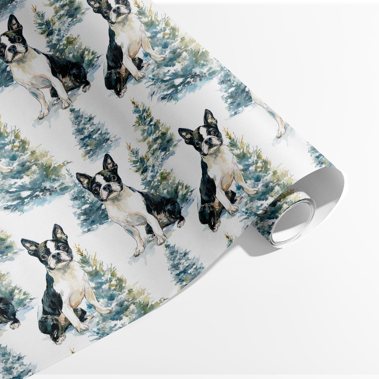 Frosty Boston Terrier