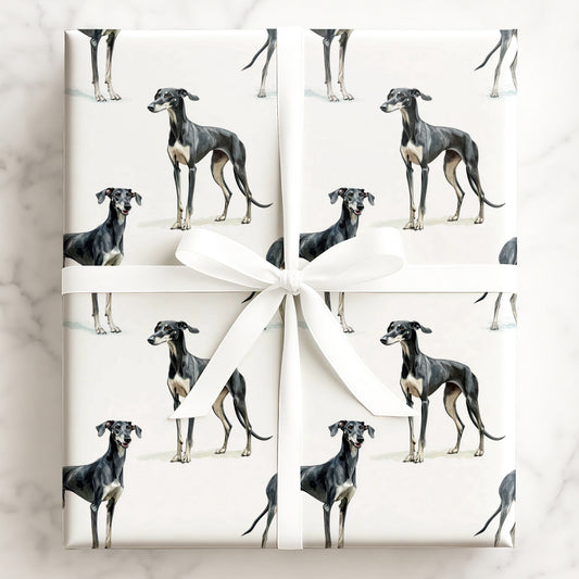 Greyhound